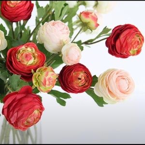 Meet your Posher, Abigail